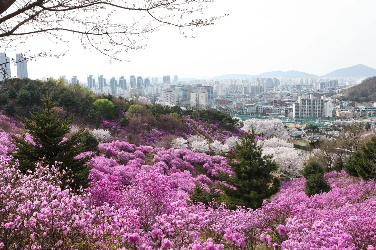 부천중앙공원 - 부천여행 여행