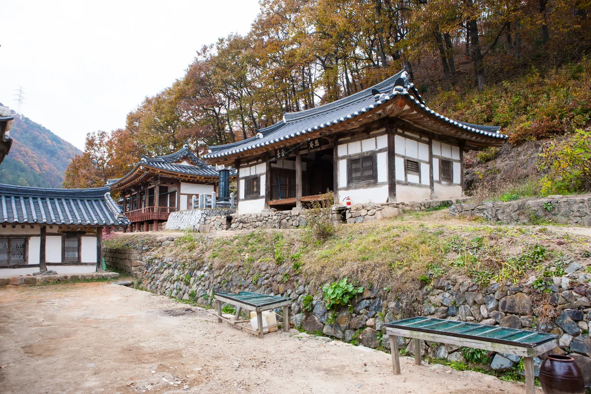 황금대추농장 - 대전여행 여행