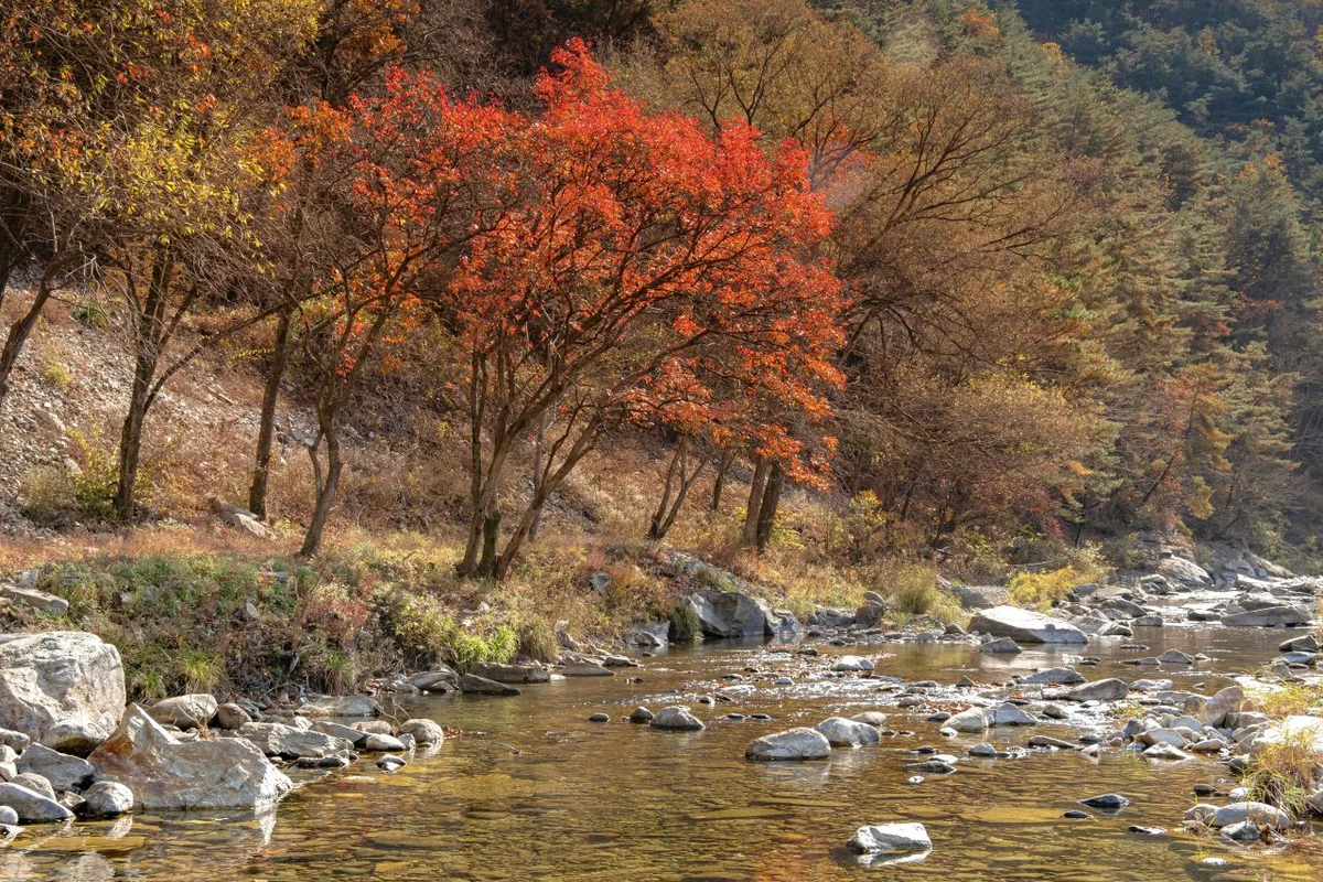예밀와인 힐링센터 - 영월군 펜션 여행