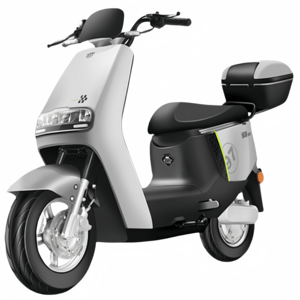 Montheria 전기자전거 48V 출퇴근 배달 전기스쿠터 A598-203
