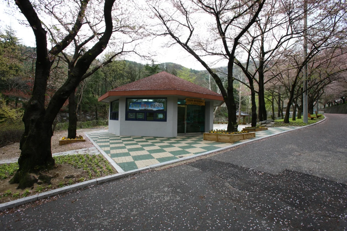 앞산 효도여행 (출처 : 한국관광공사)
