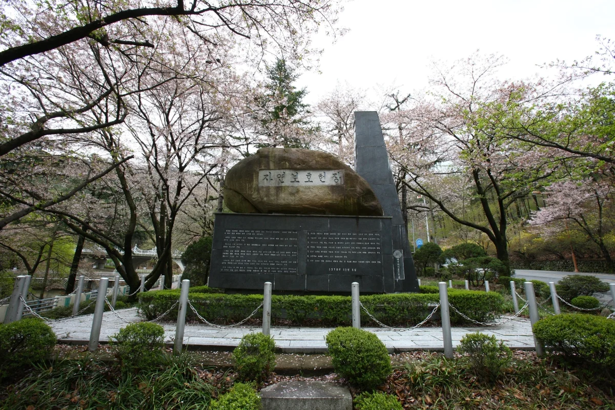 앞산해넘이전망대 - 대구여행 여행