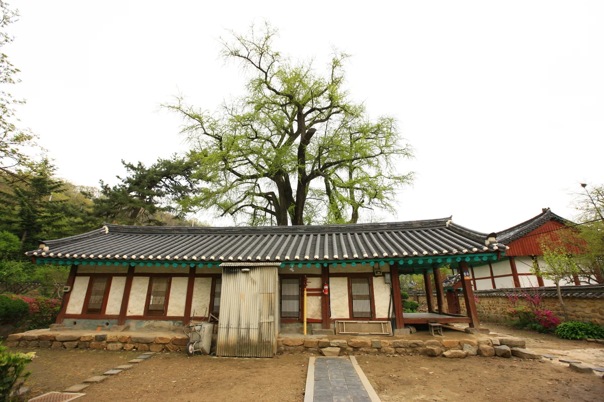 전주 향교 - 전주여행 여행