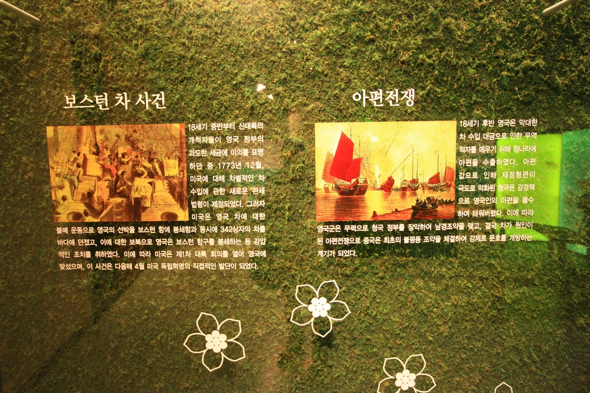 한국차 박물관 - 보성여행 여행
