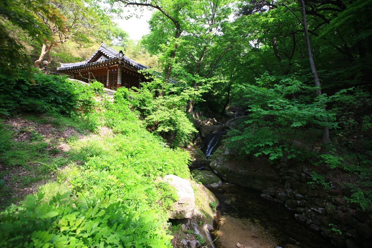 갑사 - 대전역 템플스테이 여행