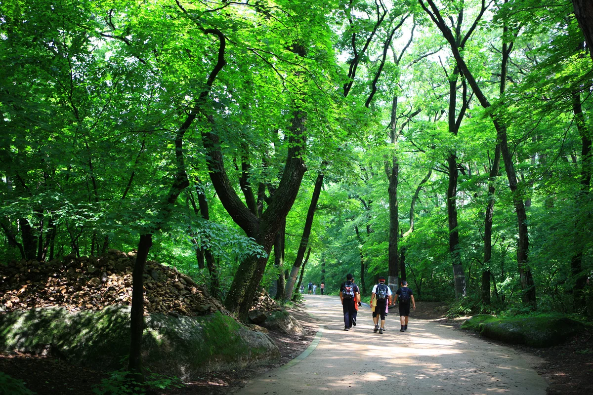 속리산 만추 여행 (출처 : 한국관광공사)