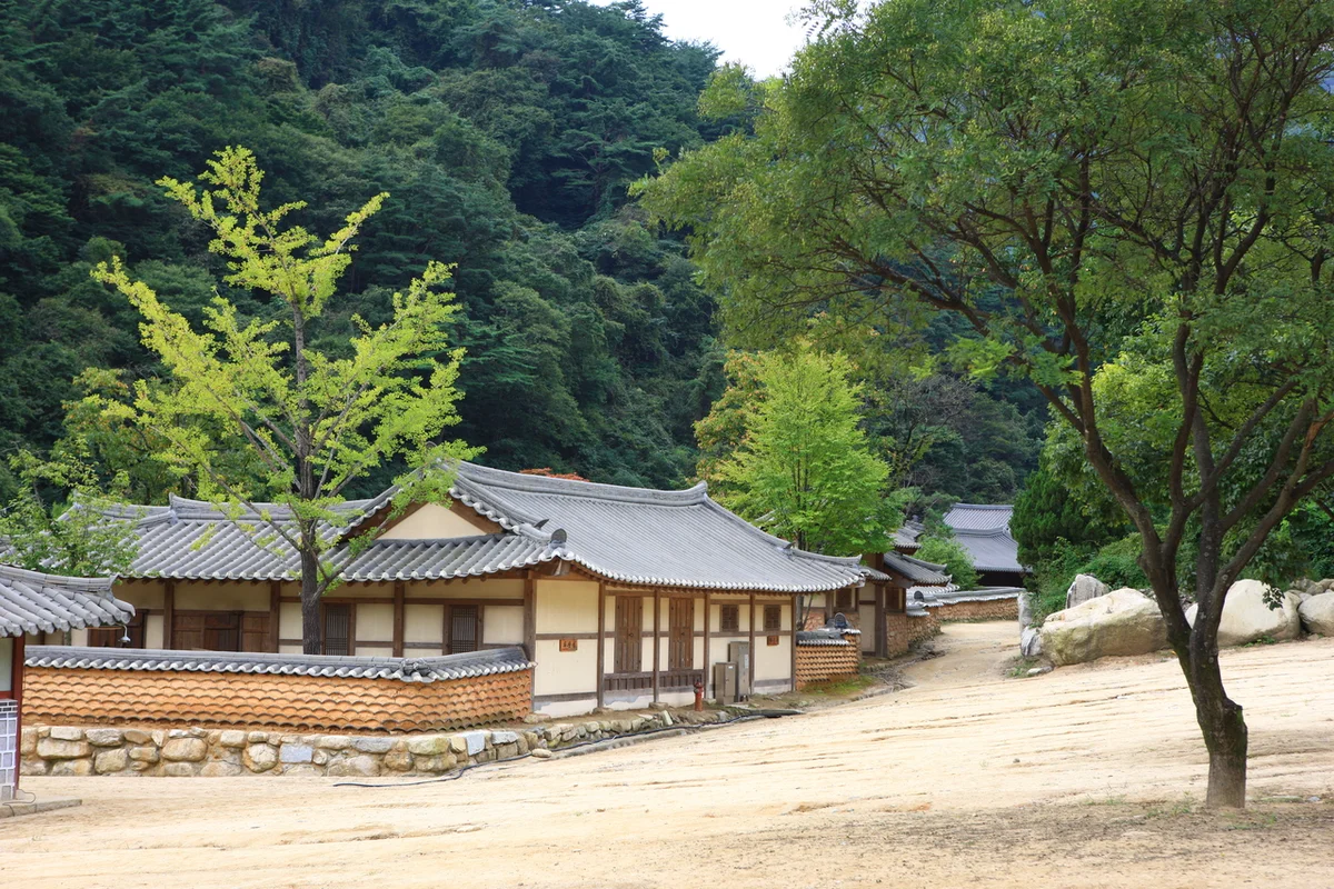 문경오미자테마터널 - 문경여행 여행