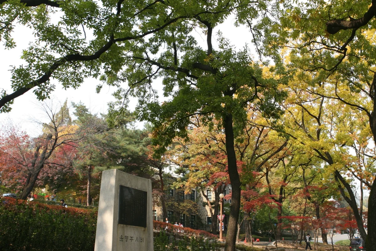 연세대학교 - 서대문커플여행 여행