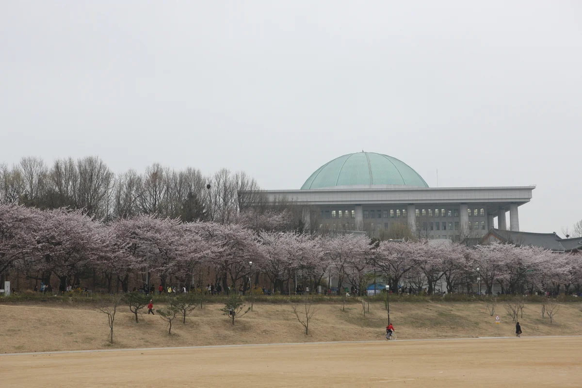 여의도 산책 (출처 : 한국관광공사)