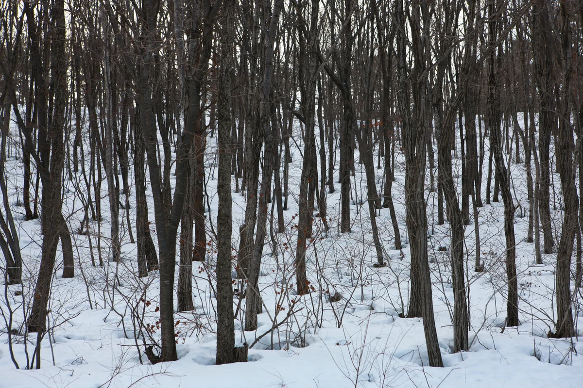 화암사 - 예산 여행 여행