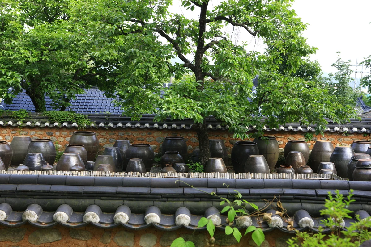 쉬미항~청용삼거리 해안도로 - 진도여행 여행