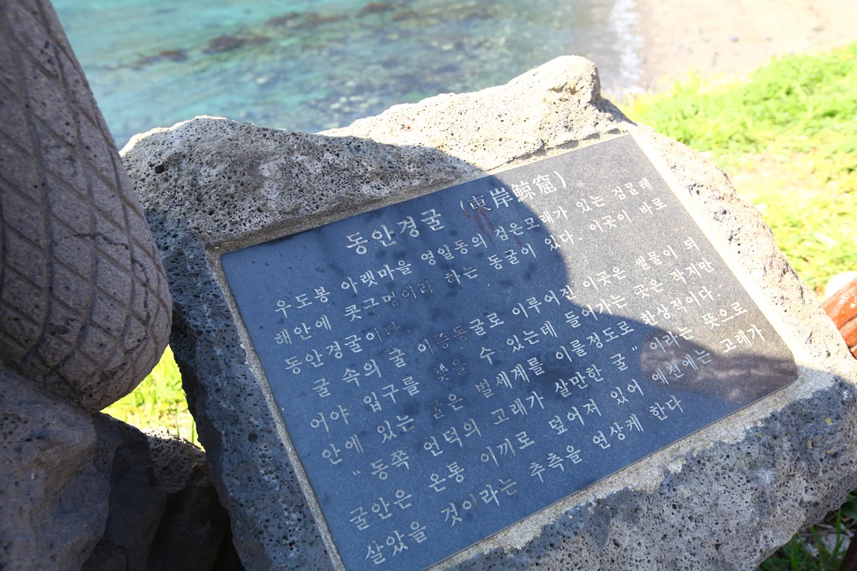우도 봄 가볼만한곳: 2026년 놓쳐서는 안 될 명소들 - 우도여행 여행