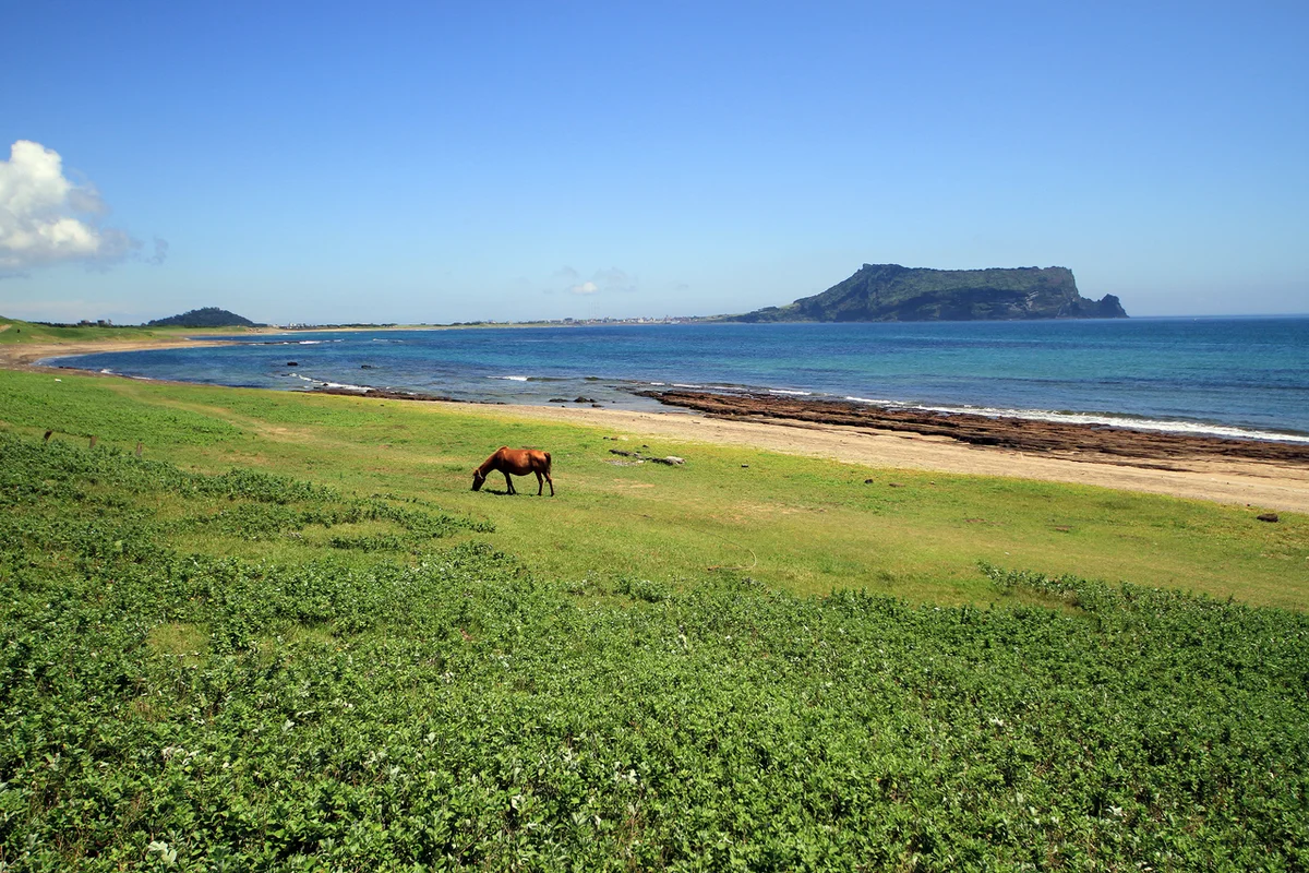 성산일출봉과 함께하는 1박2일 - 성산일출봉 여행