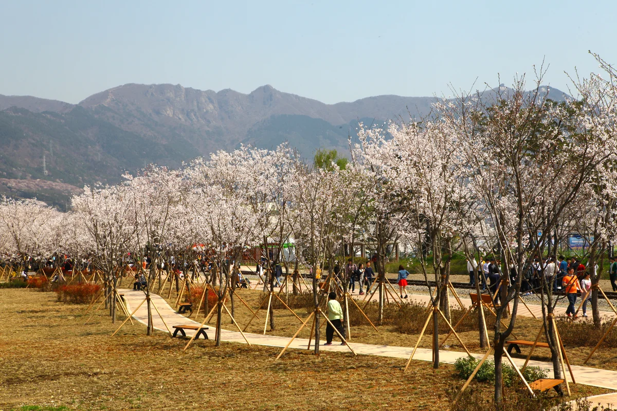 창원 한옥마을 (출처 : 한국관광공사)
