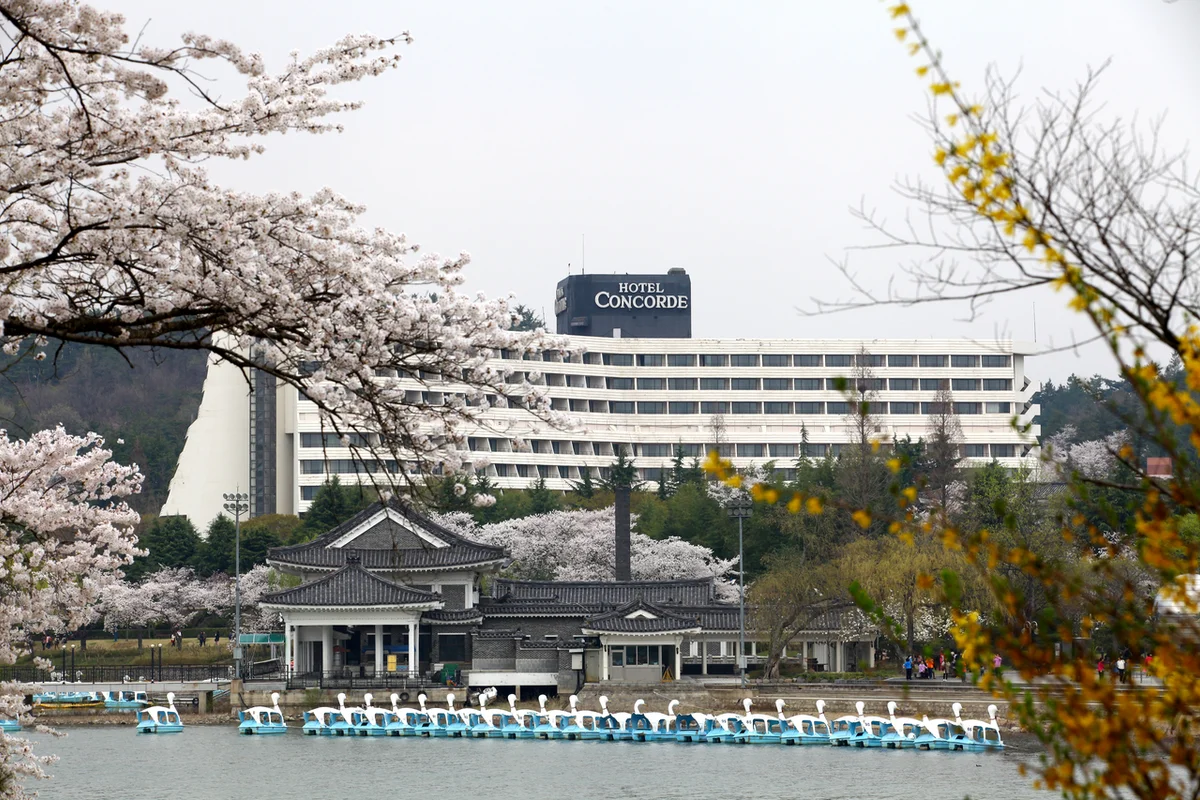 드림씨어터 - 문현호텔 여행