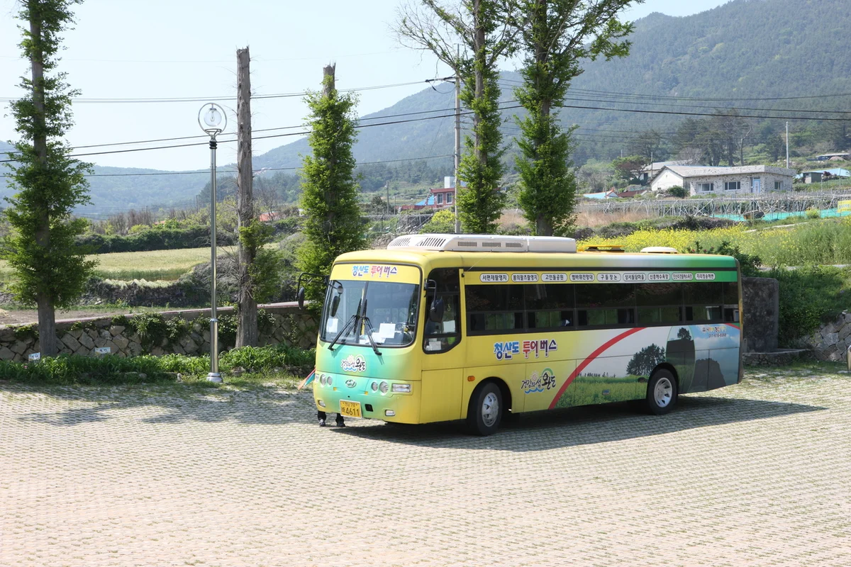 완도군 갈만한곳, 2026년 봄 추천 명소 - 완도여행 여행