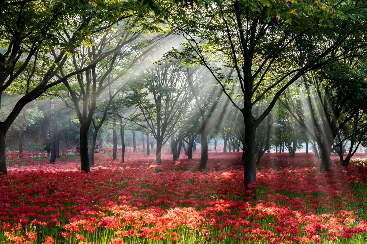 전남 맑은 계곡의 시작, 구례 반곡마을 - 전남여행 여행