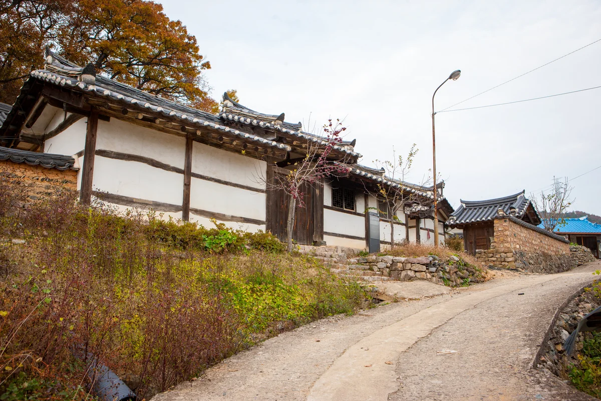 대전둘레산길10구간 - 대정 여행 여행