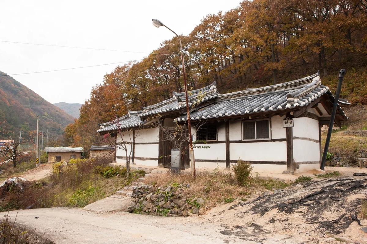 대전구봉지구무장애나눔길 - 대정 여행 여행
