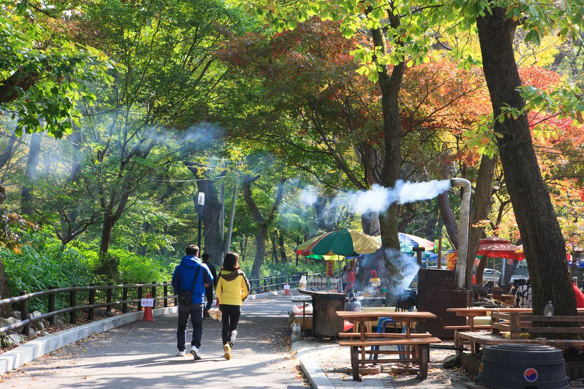 공주 드라이브 (출처 : 한국관광공사)