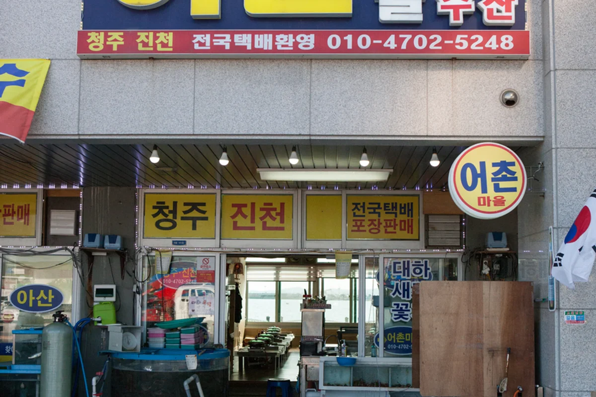 남당항 - 홍성군혼자여행 여행