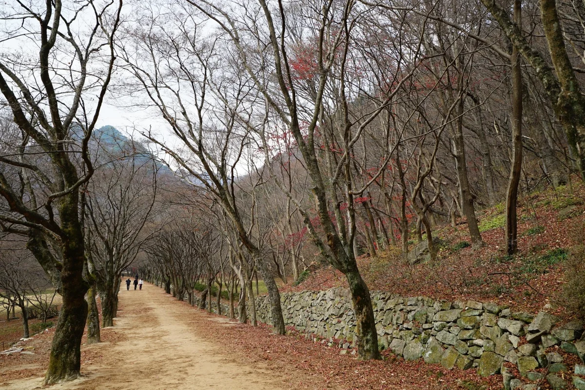 정읍사문화공원 - 정읍여행 여행