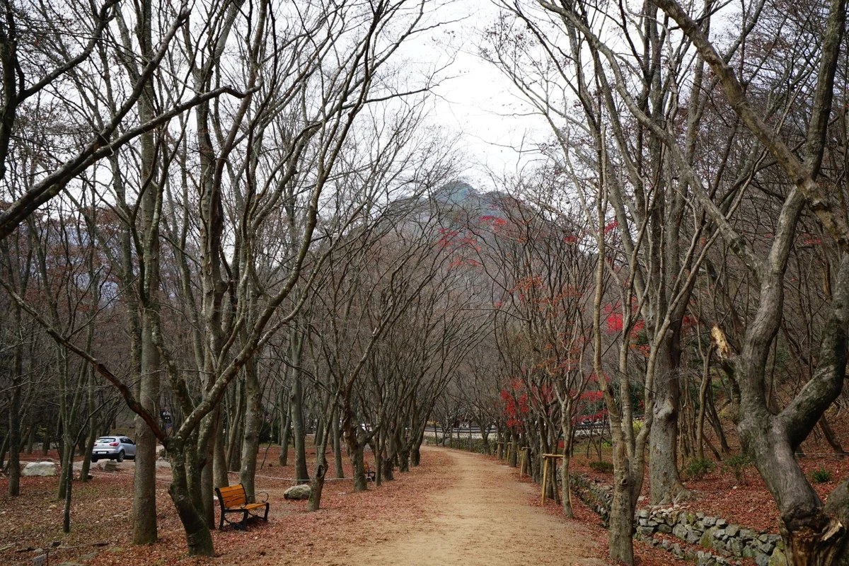 내장한옥스테이 달하 - 내장산 여행