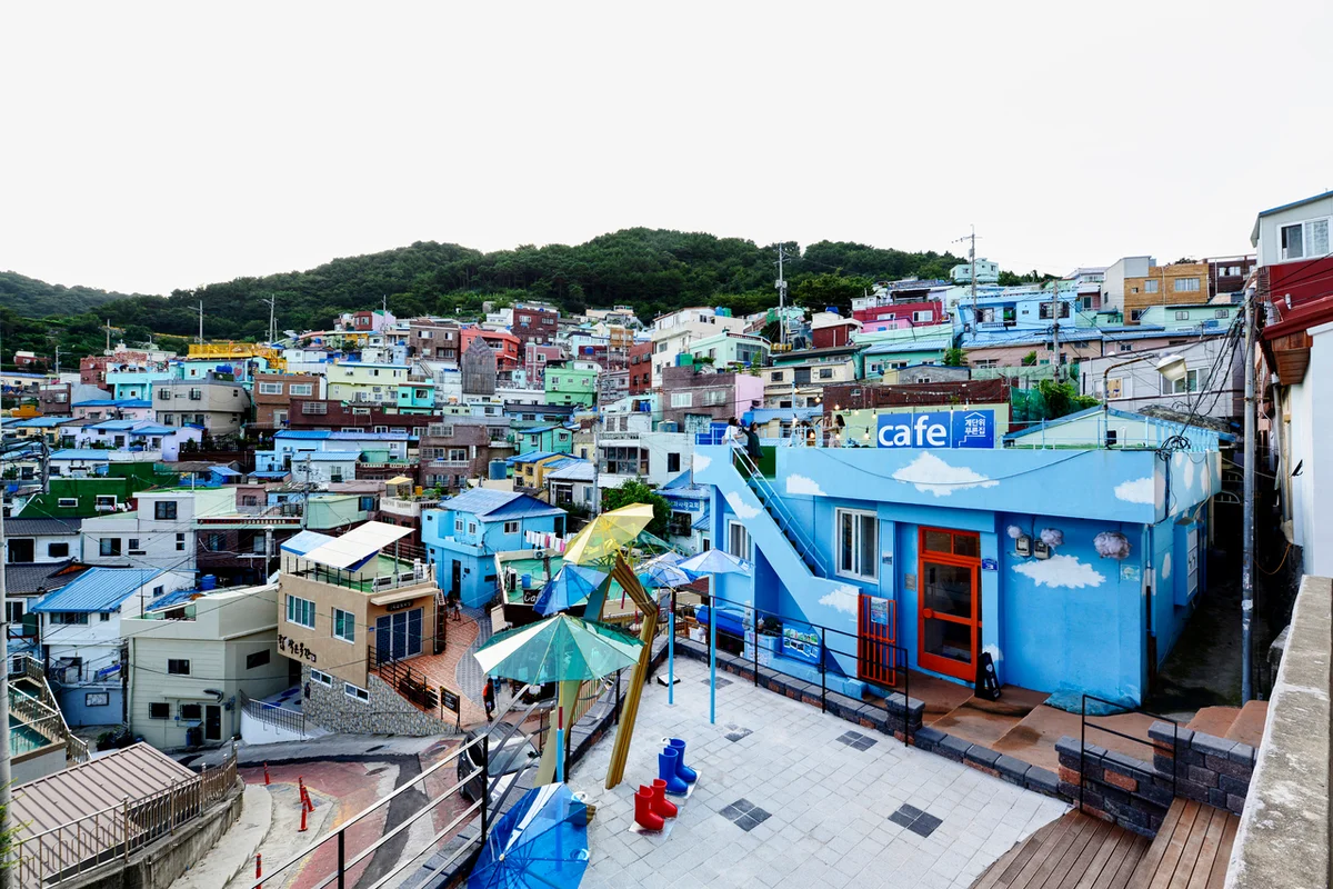 아미산자생식물원 - 사하식물원 여행