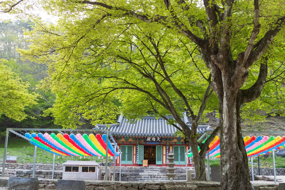 순창군 섬진강 래프팅 체험 - 순창여행 여행