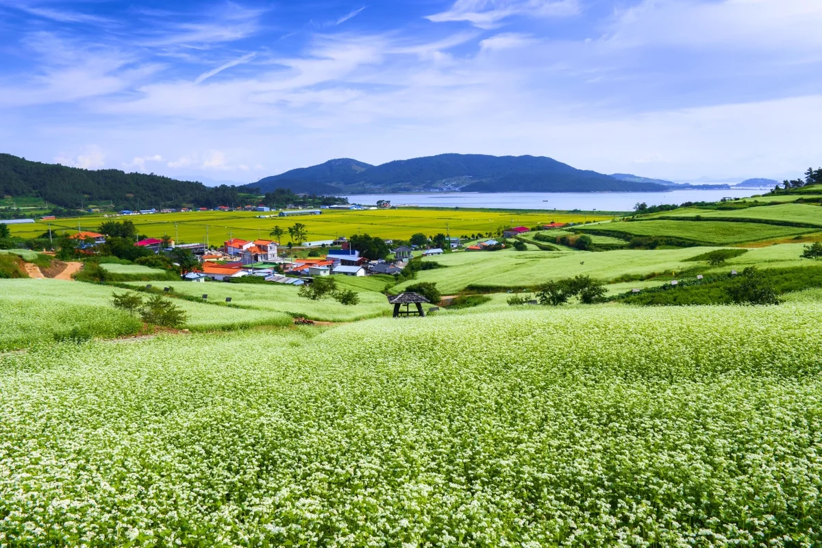 장흥 수문리조트 - 장흥여행 여행