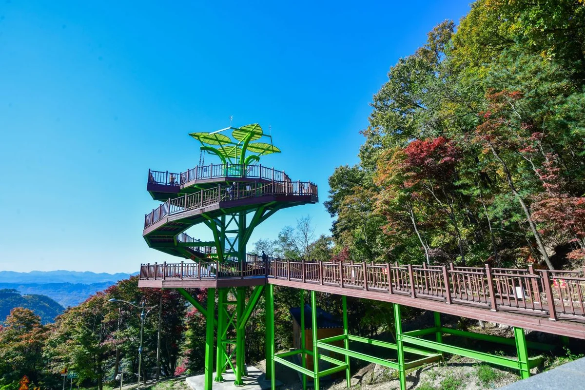 속리산 숲체험휴양마을 - 보은 여행