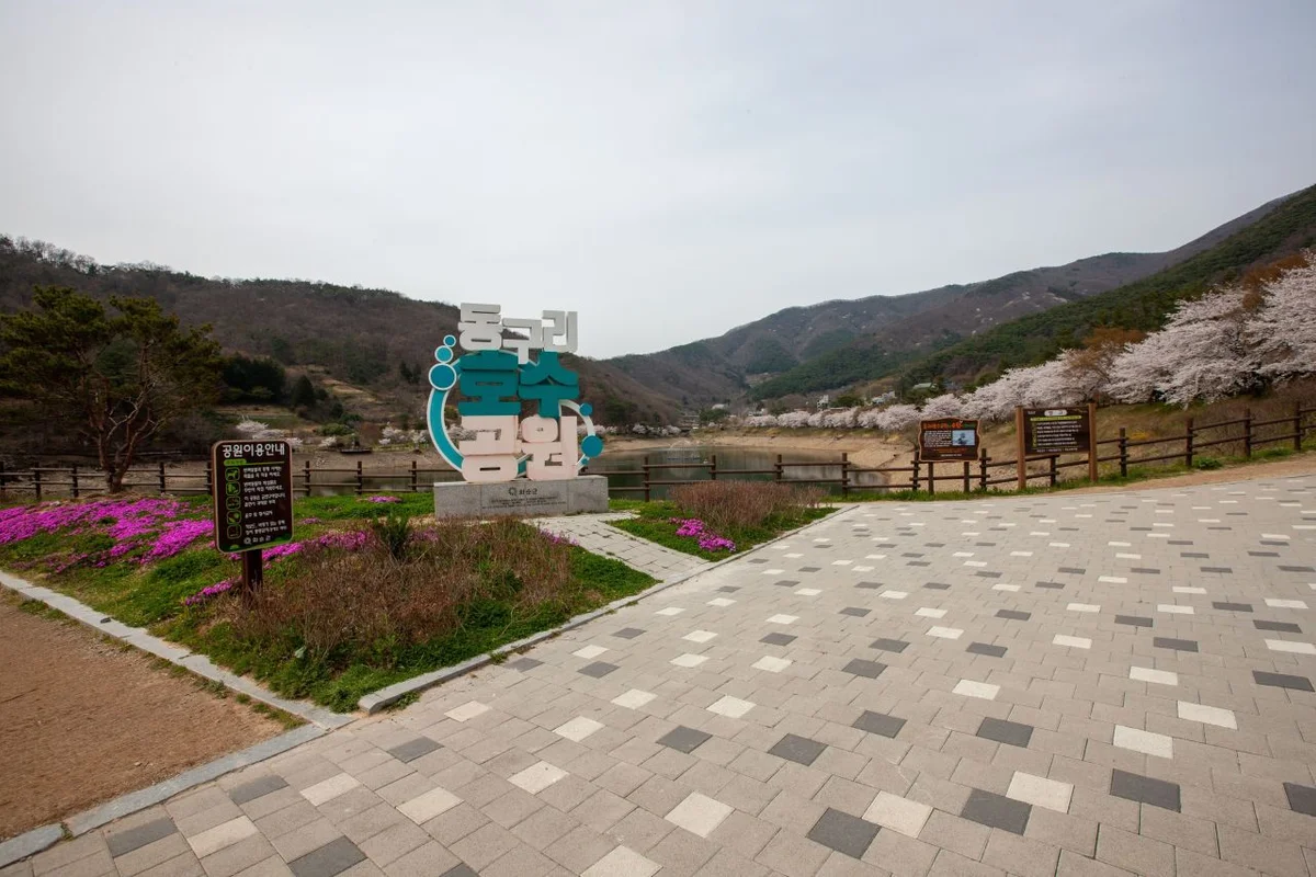 동구 봄 여행 (출처 : 한국관광공사)