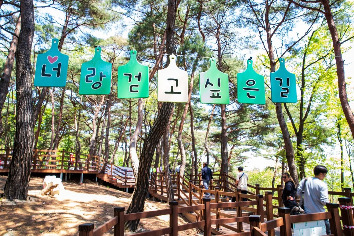 원주 산책로 (출처 : 한국관광공사)