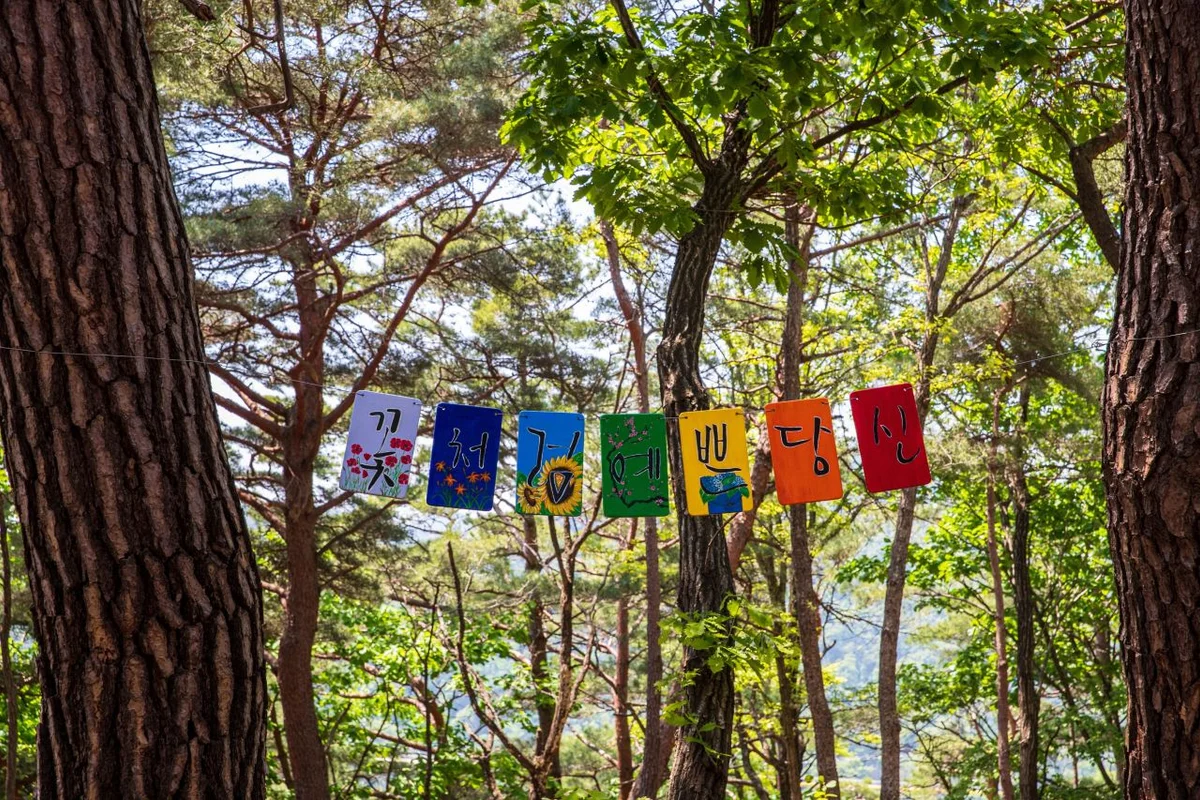 치악산둘레길 - 원주여행 여행