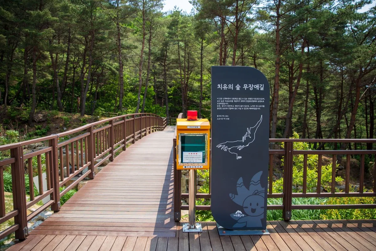 보림공원 - 장림여행 여행