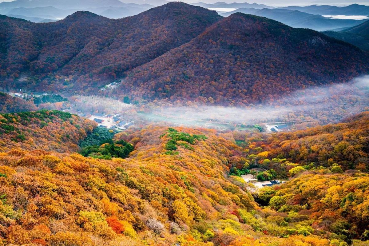 선운산 도립공원 - 고창여행 여행