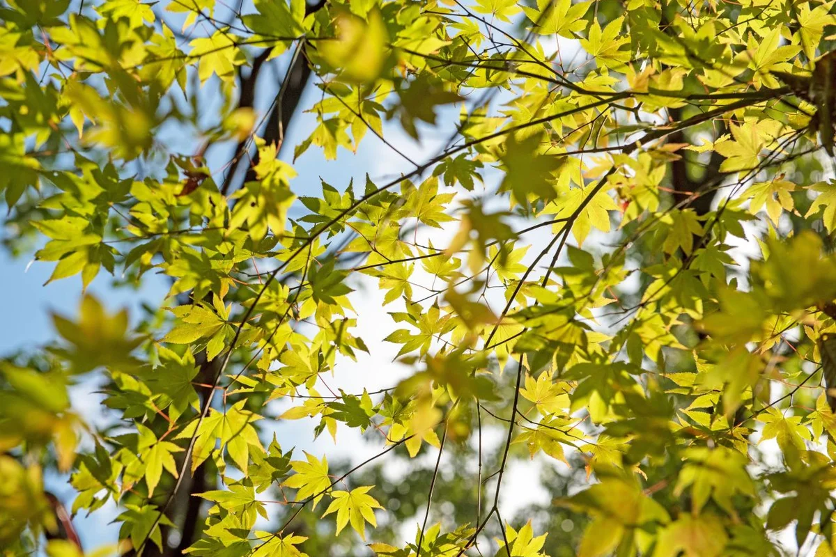 부산진 등산 코스: 백양산 - 부산진등산코스 여행