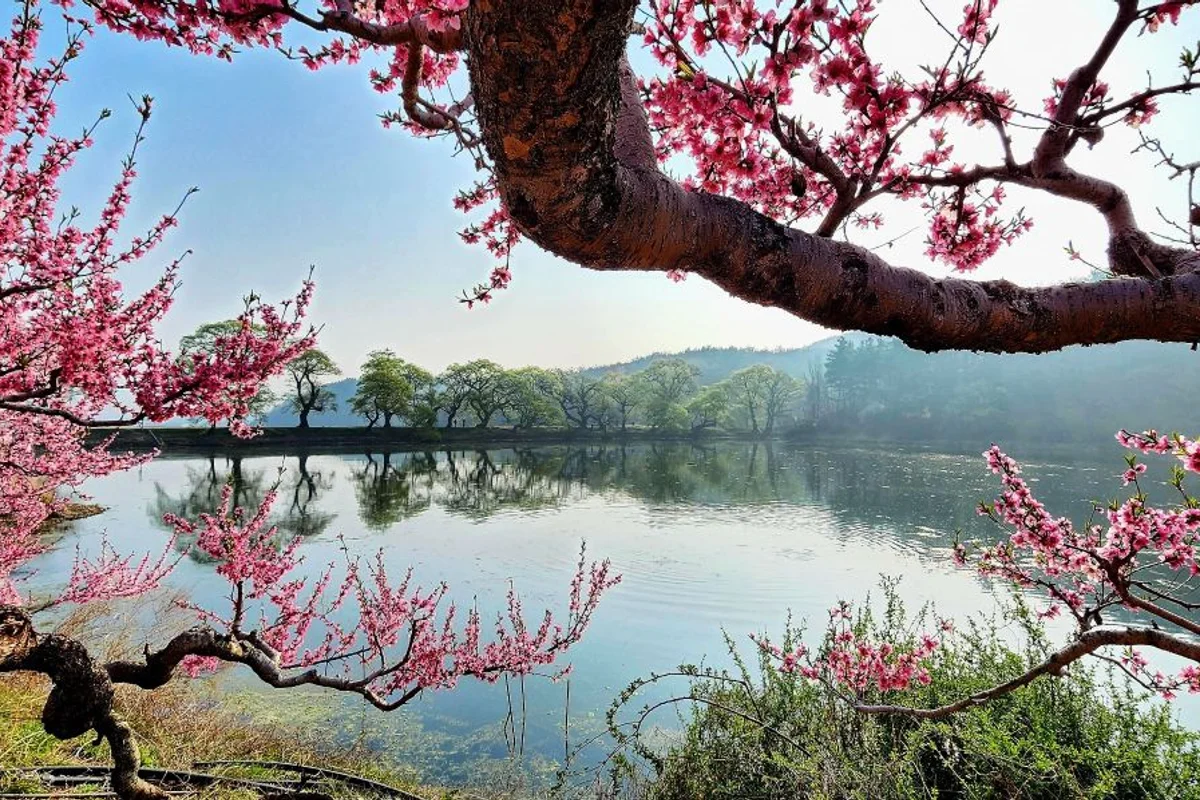 삼성현역사문화공원 - 경산여행 여행
