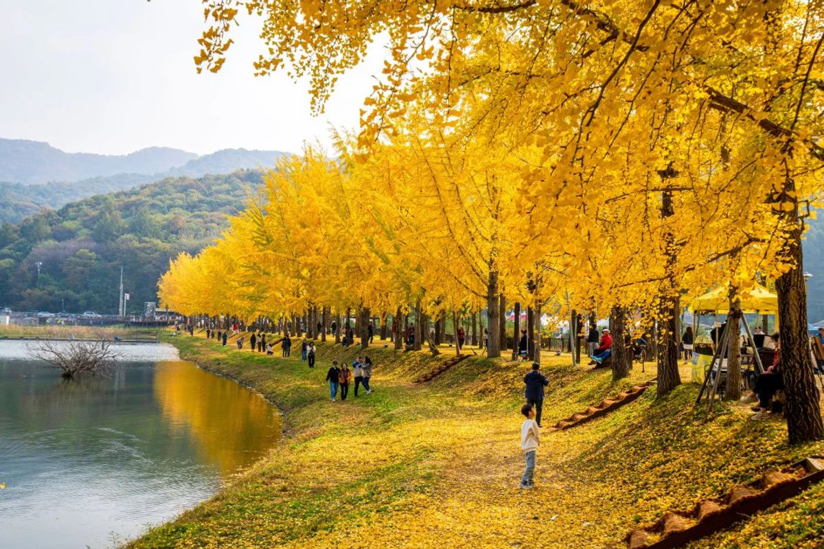 문광저수지 - 속리산 여행