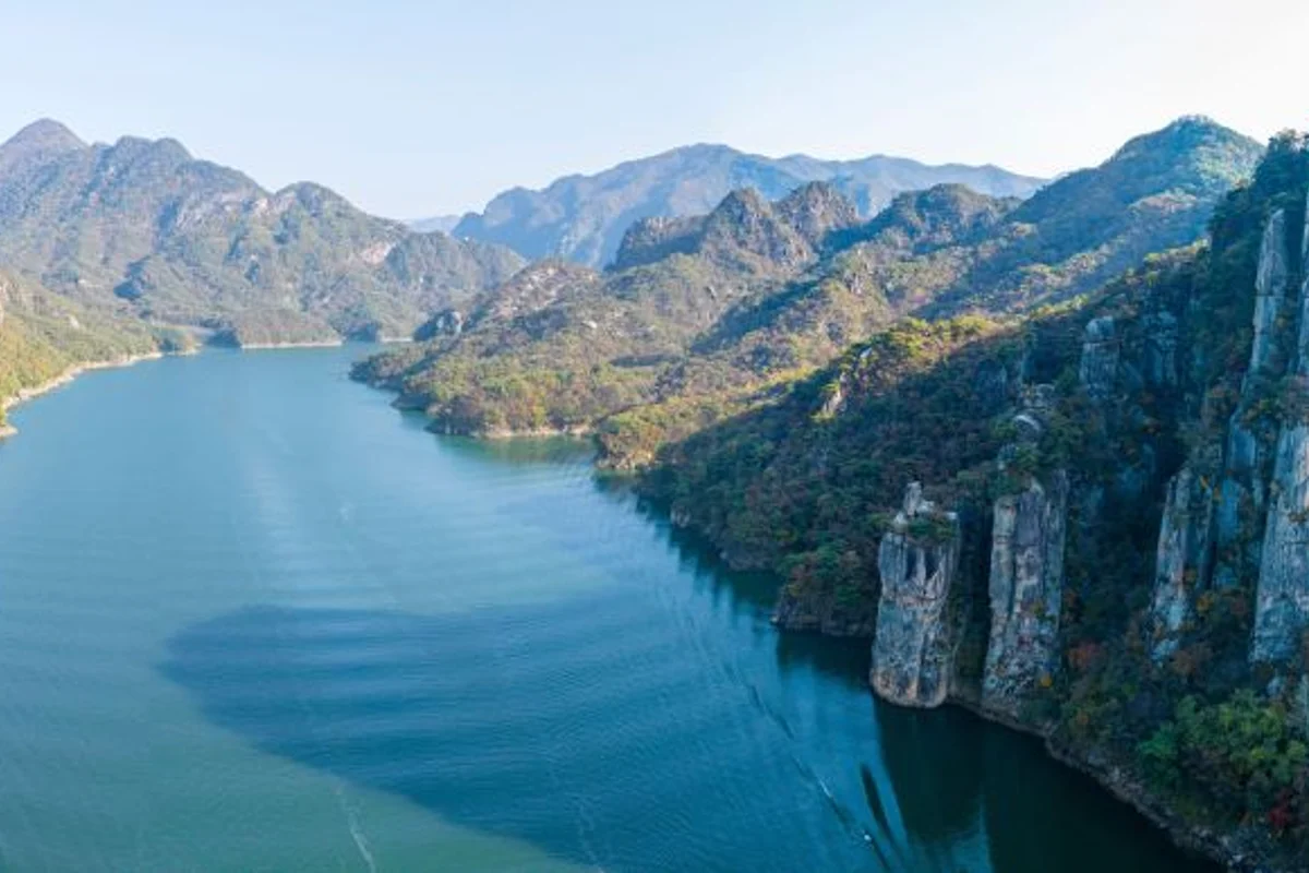 충주 호암지 벚꽃 산책길 - 충주여행 여행