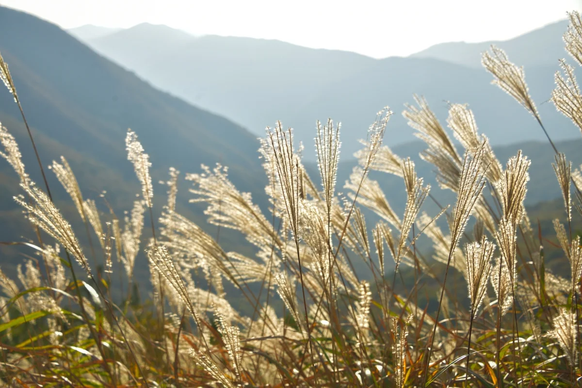 신불산 - 울주 등산 여행