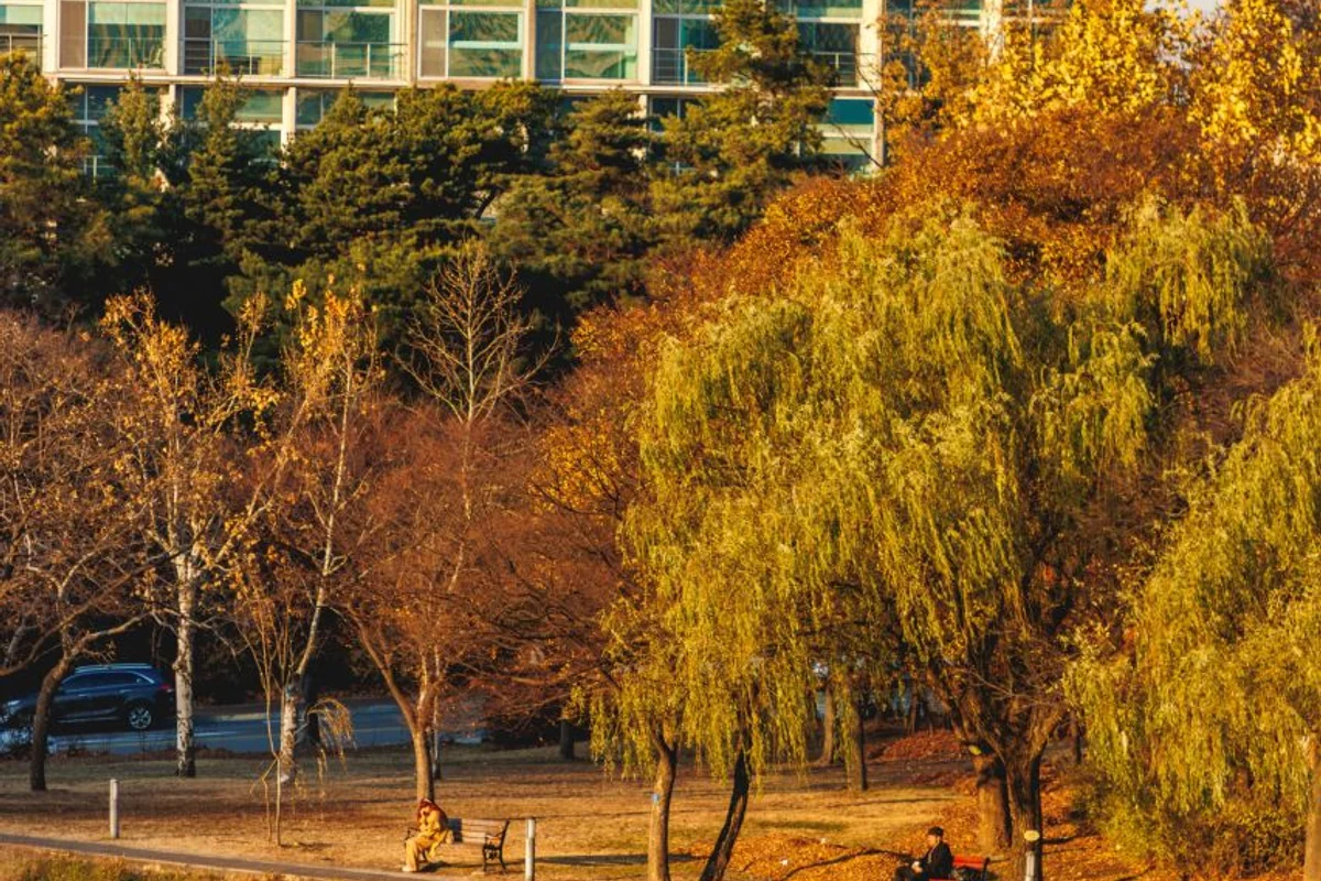관악구 유아 동반: 관악구 육아종합지원센터 꿈자람터 - 관악구 여행