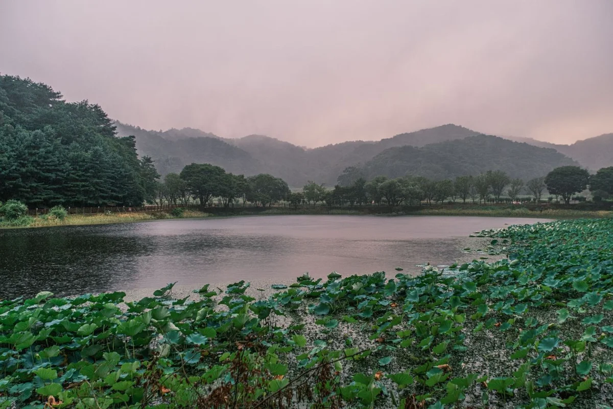 상당산성 자연마당 - 청주여행 여행