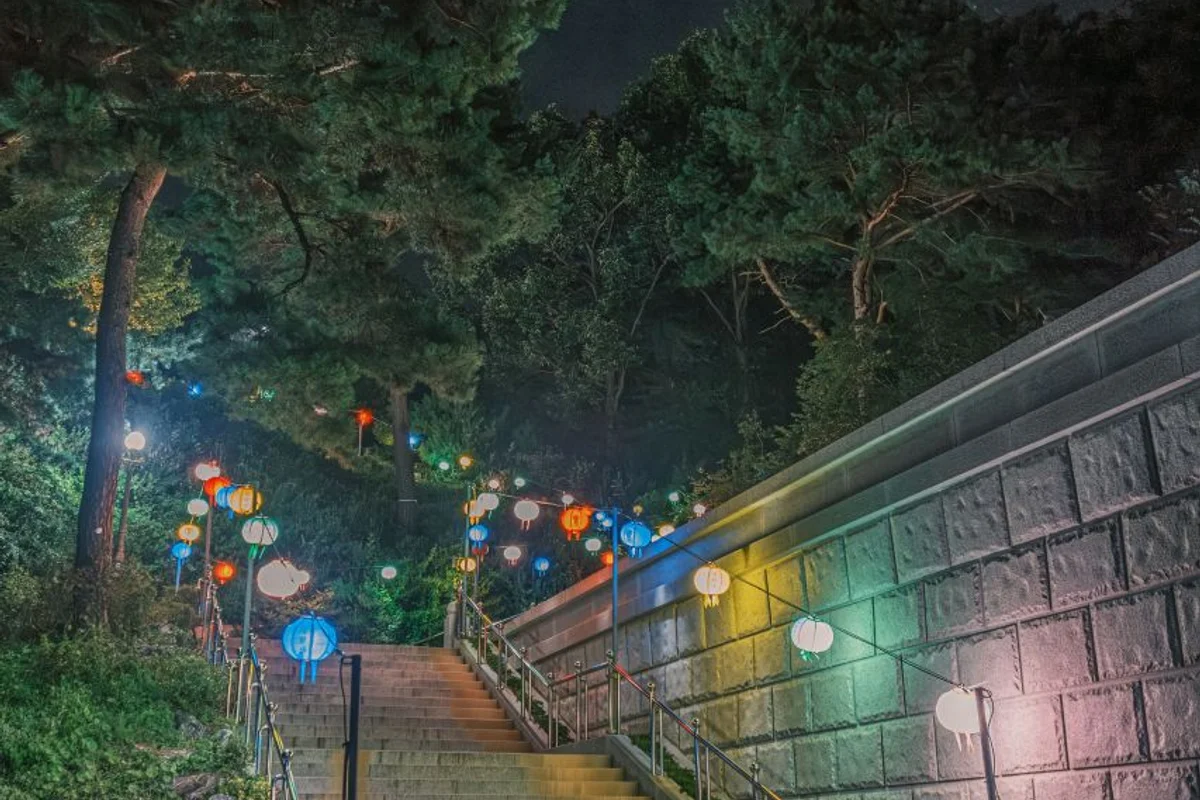 울산대공원 장미원, 울산대공원 야간 명소의 꽃 - 울산여행 여행