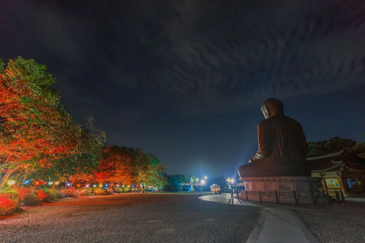 울산대공원 산책로 - 울산여행 여행