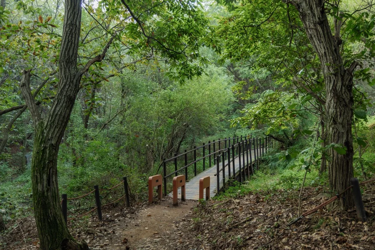 헤세의 정원 HESSE GARDEN - 양주등산 여행