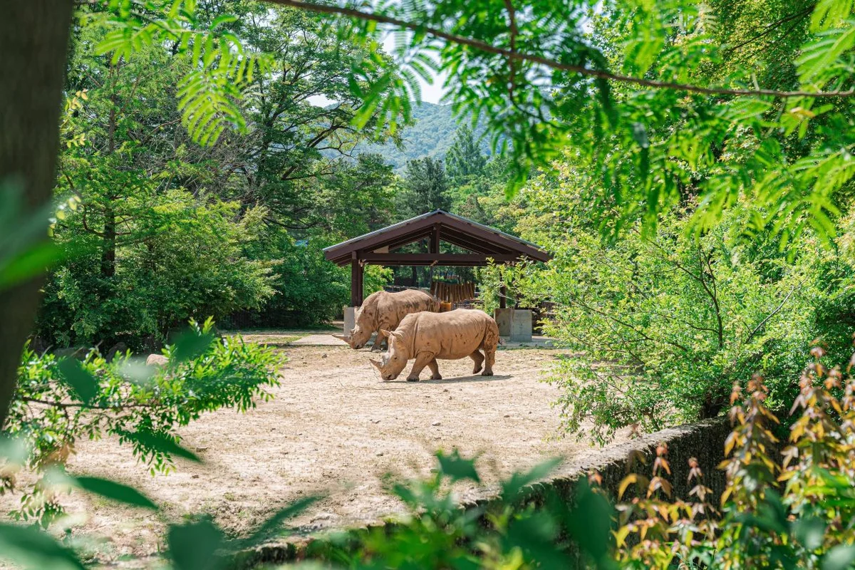 서울대공원 - 과천트레킹 여행