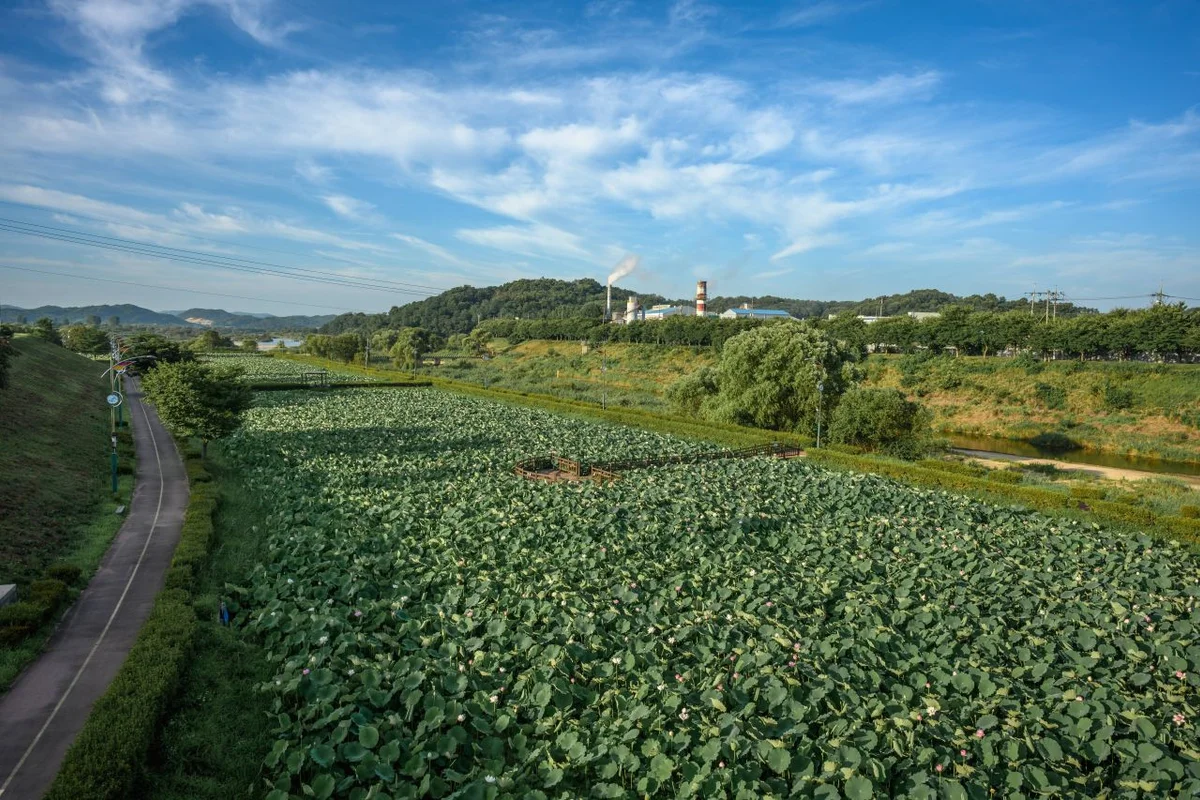 오봉산맨발등산길 - 조치원여행 여행