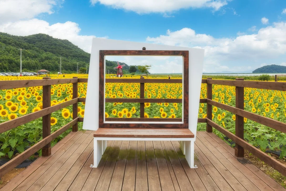 강화루지 - 강화군축제 여행