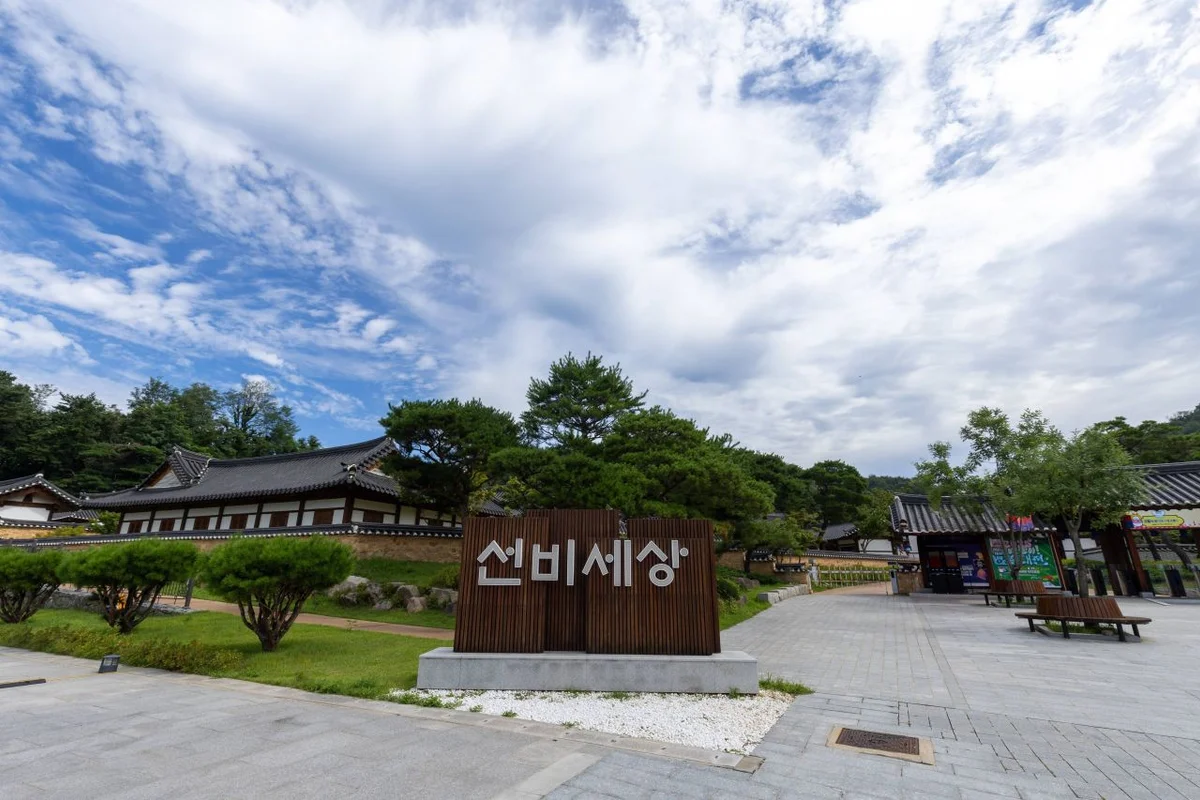 선비세상 - 영주시축제 여행